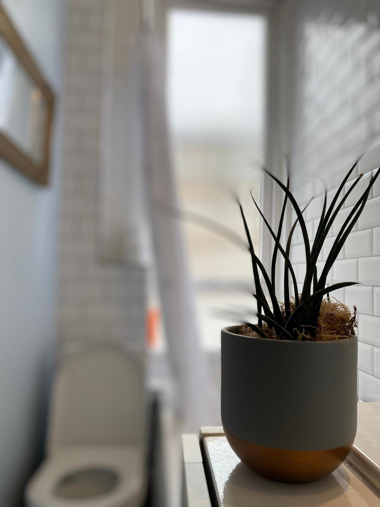 Charming 1 Bedroom Edinburgh Apartment Экстерьер фото